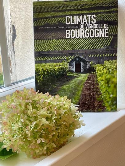Le Clos Des Erables Dijon Eksteriør billede